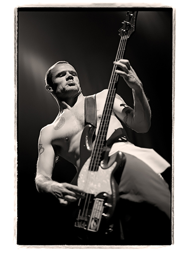 Flea energetically plays a bass guitar on stage. The black and white image captures his focused expression and dynamic pose against a dimly lit background.