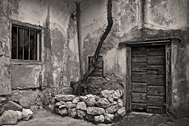 A black-and-white photo of a weathered building with a wooden door and barred window. A tree trunk leans against the wall, roots embedded in a pile of rocks. The cracked walls and textures evoke an aged, rustic atmosphere.