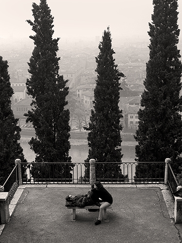 A couple sits playfully on a bench facing a misty cityscape, framed by three tall trees. The scene is grayscale, conveying a sense of solitude and quiet reflection. A distant river and buildings are visible through the haze.